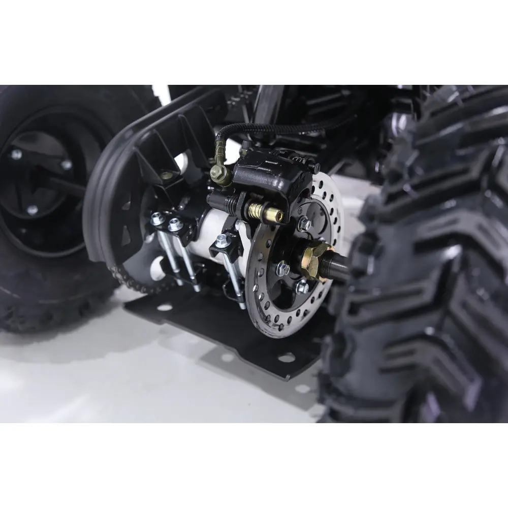 Квадроцикл дитячий Chix 110