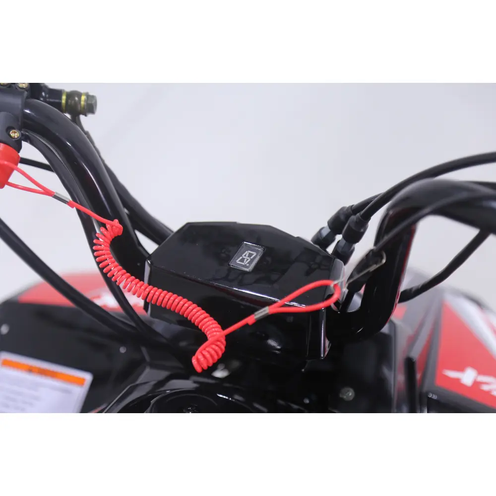 Квадроцикл дитячий Chix 110