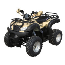 SHINERAY HARDY 200U