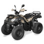 Запчастини для квадроцикла ATV SHINERAY ROVER 250 (XY 250ST-4B)