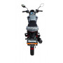 MUSSTANG REGION MT150 FORTUNA