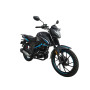 MUSSTANG REGION MT200