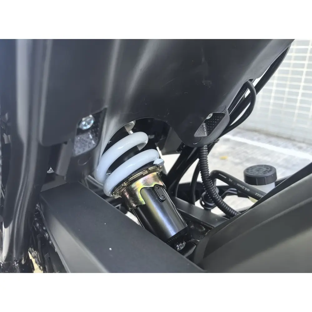 Musstang Region 200 ST