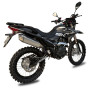 SHINERAY CXR 250 4V