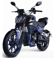 Shineray Nitrox 300