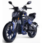 Shineray Nitrox 300