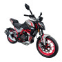 Shineray Nitrox 300