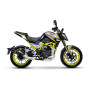 Shineray Nitrox 300