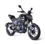 Shineray Nitrox 300