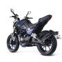 Shineray Nitrox 300