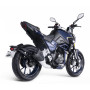 Shineray Nitrox 300