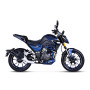 Shineray Nitrox 300