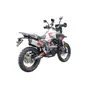 Мотоцикл TEKKEN Discovery 300