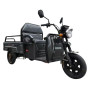 Електротрицикл вантажний FADA МУРАХА, 1000W