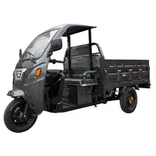 Електротрицикл вантажний FADA ВОЛ з дахом 1500W