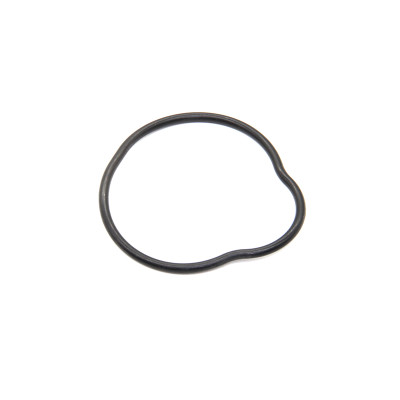 Ущільнююче кільце впускного колектора KOVI NC450i-4Т PRO