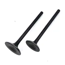 Клапана (впуск+випуск) Musstang MT200-8 REGION