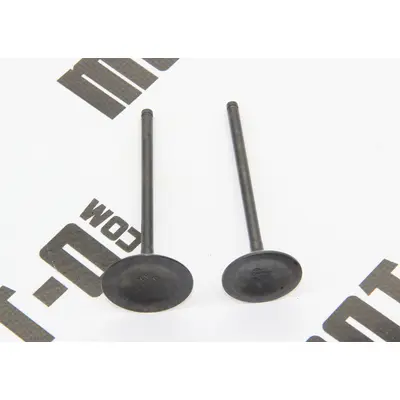 Клапана (впуск+випуск) KOVI NC450i-4Т PRO