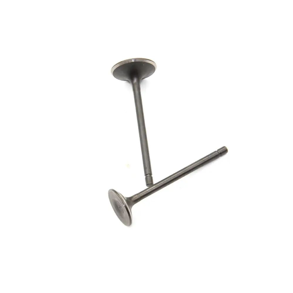 Клапана (впуск+випуск) Shineray XY250ST-4B