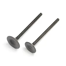 Клапана (впуск+випуск) Shineray XY200GY-6C