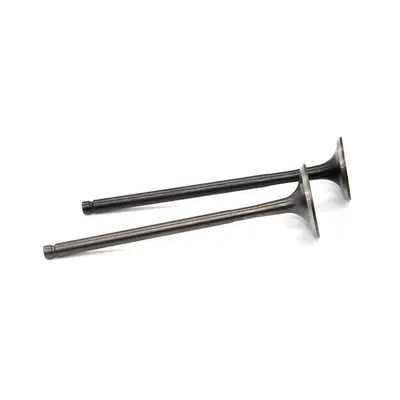 Клапана (впуск+випуск) KOVI NC250-4Т PRO