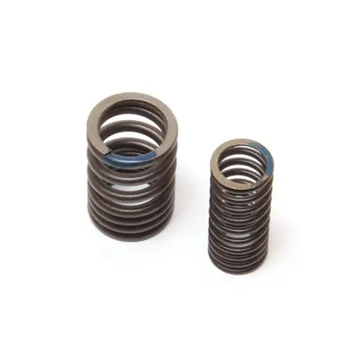 Пружина клапана (внутрішня+зовнішня) Lifan LF200-10S