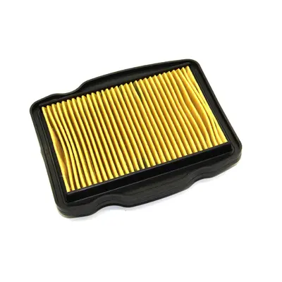 Фільтр повітряний (елемент) Lifan LF250-3R