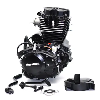 Двигун в зборі 162FMJ-2 Musstang MT150-8 REGION