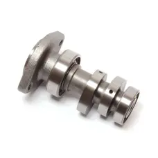 Розподільний вал в зборі Lifan LF150-10B