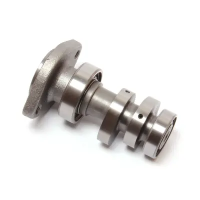 Розподільний вал в зборі Lifan LF150-10B