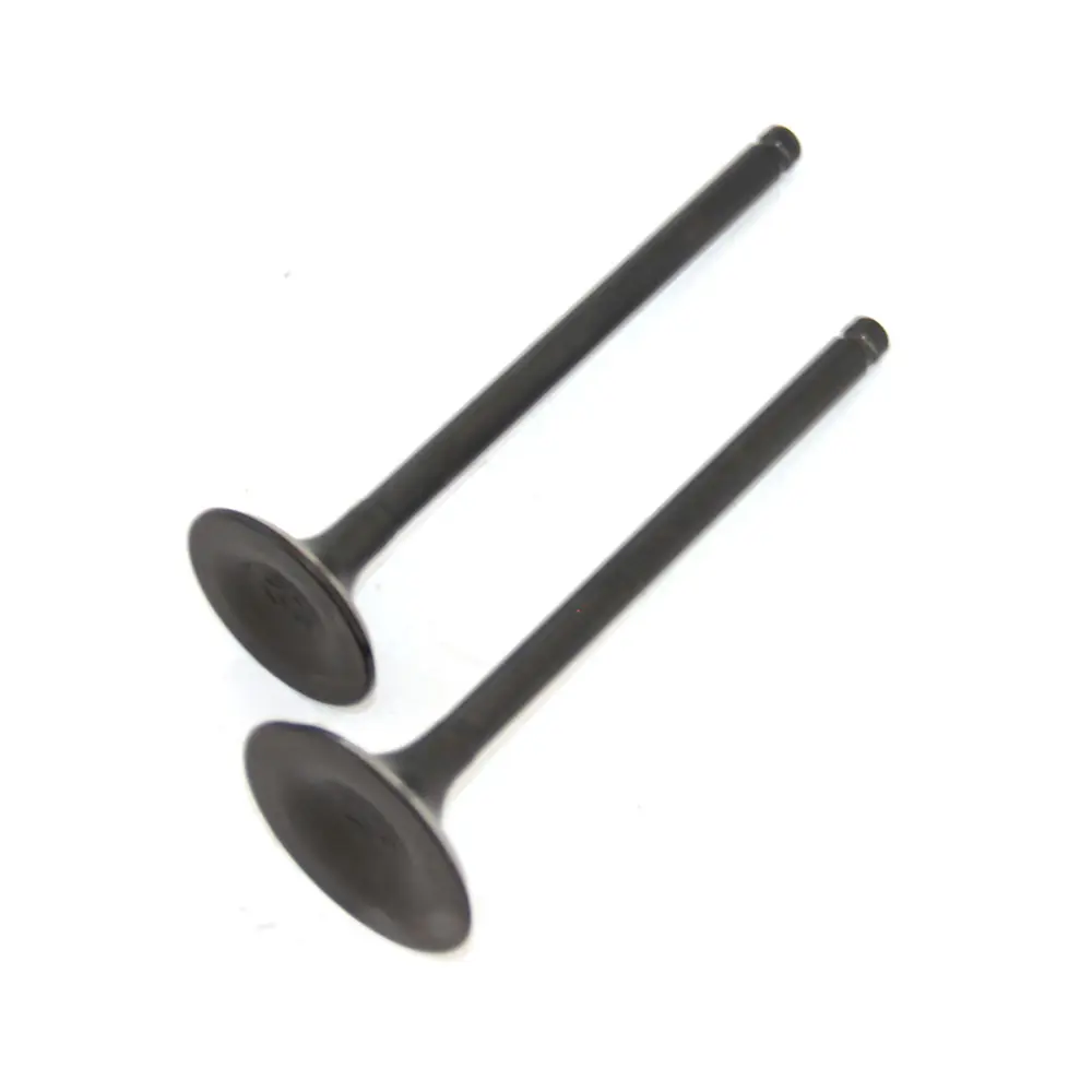 Клапана (впуск+випуск) Shineray Intruder XY200GY-4