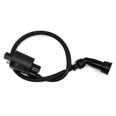 Котушка запалювання Musstang MT150-8 REGION