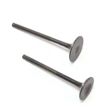 Клапана (впуск+випуск) Lifan LF150-10B