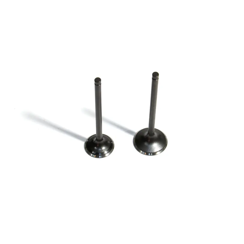 Клапана (впуск+випуск) Shineray XY200GY-9A